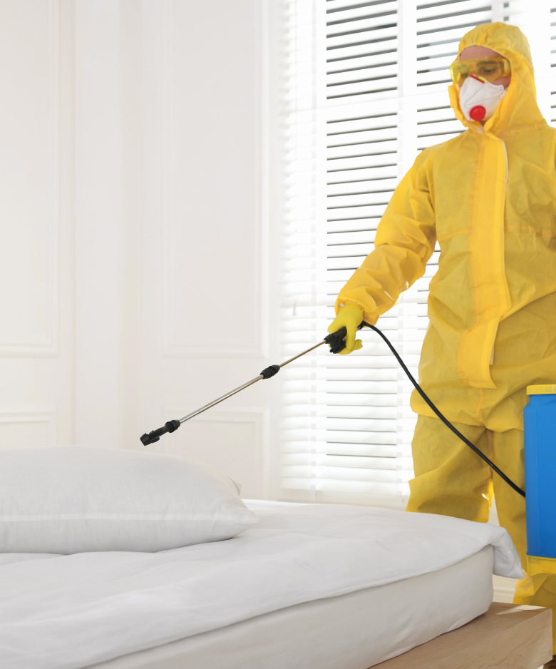 Professional Pest Control Team in Grange